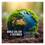 wiserwash_1733384844_3516209382900940484_4785324597